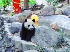 -广州长隆野生动物世界