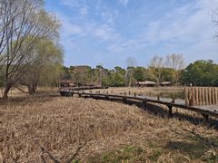 -同里国家湿地公园