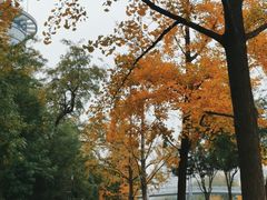 -北京理工大学(中关村校区)