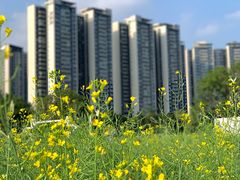 -光明小镇欢乐田园