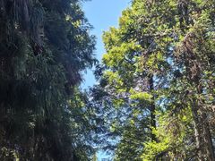 -山王坪喀斯特国家生态公园