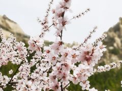 -北京凤凰岭