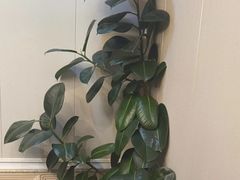 -君霖私家菜(春柳店)