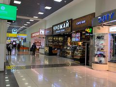 -谢列梅捷沃国际机场