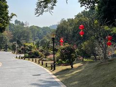-东莞植物园
