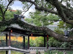 -江心屿景区