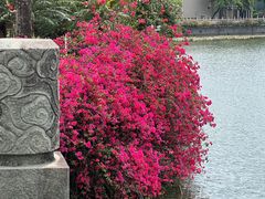-东山湖公园
