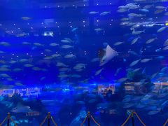 -成都浩海立方海洋公园