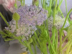 -花邻FloweringLife花艺气球派对(武康大楼店)