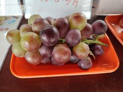 -马陆小张葡萄园农家乐