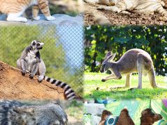 -北京野生动物园