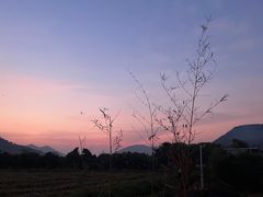 -艾米稻香小镇