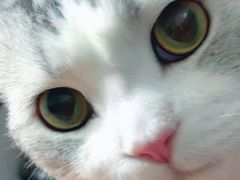 -大自然会所(泉秀店)