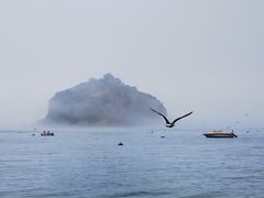 -棒棰岛宾馆景区