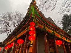 -白家大院·王府宫廷菜(苏州街店)