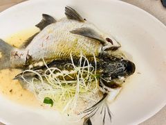 -四海酒家生态粤菜