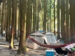 -武陵山森林公园