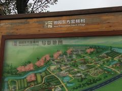 -田园东方蜜桃村的田野营地