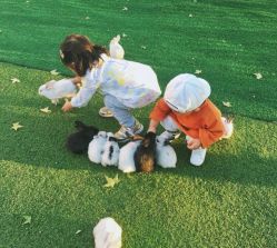 -萌宠亲子动物乐园(槐房万达店)