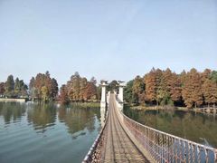 -东湖落雁景区