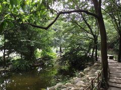 -成都市活水公园