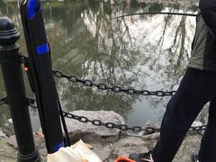 -鲁迅公园-垂钓中心