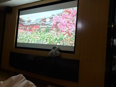 -金色印象·4k影院式足体养生(水晶郦城店)