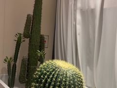 -悦海·家宴·冰花皮皮虾大锅贴(宝龙店)