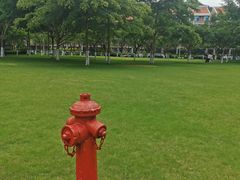 -厦门国家会计学院