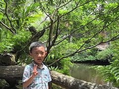 -绿光森林餐厅