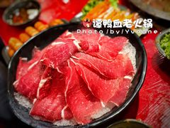 -谭鸭血老火锅(漳州路店)
