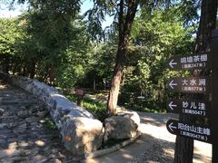 -阳台山自然风景区