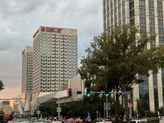 -万达广场(齐齐哈尔建华店)