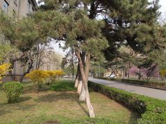 -辽宁大学(崇山校区)