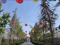 -菊园百果园