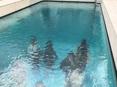 -金泽21世纪美术馆