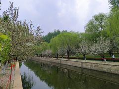 -元大都城垣遗址公园