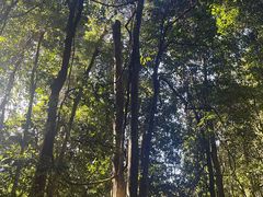 -悉尼蓝山三姐妹峰