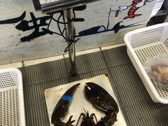 -驻海渔市(置信店)