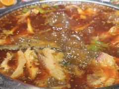 -蜀滋香鲜鱼美蛙火锅(339店)