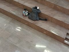 -SOHO尚都