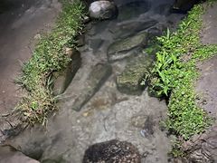 -重庆中央公园(渝北区)