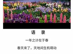 -张生记(丁香国际店)