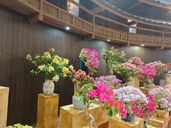 -东南花都花博园