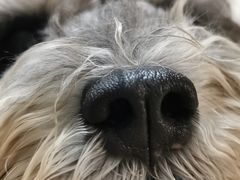 -美联众合动物医院·24h京西诊疗中心
