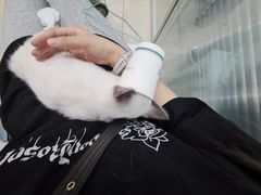 -美迦爱-牙专科·兔科·骨科诊疗中心(北苑店)