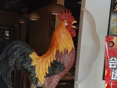 -蒙阴光棍鸡(新石中路店)