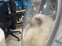 -佳雯宠物医院·皮肤科·内外科(春晓路分院)