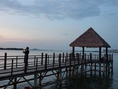 -瑶湖郊野森林公园