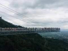-呀诺达热带雨林